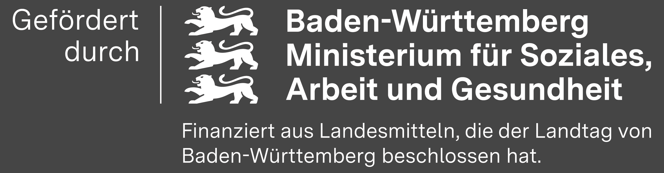 Baden-Württemberg Förderlogo